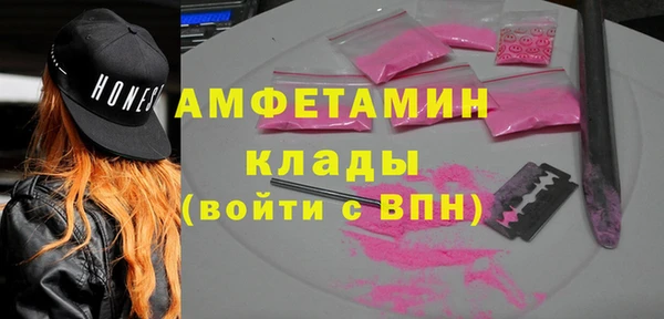 ГАЛЛЮЦИНОГЕННЫЕ ГРИБЫ Михайлов