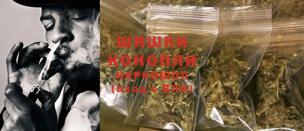 ГАЛЛЮЦИНОГЕННЫЕ ГРИБЫ Михайлов