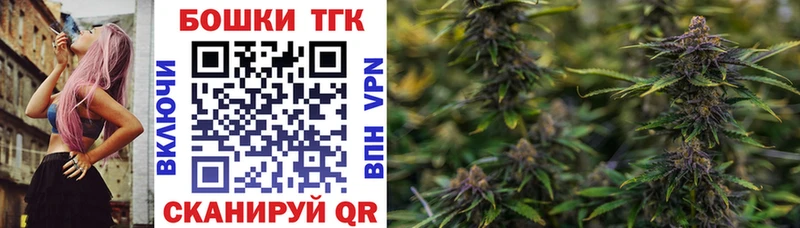 Бошки Шишки семена  Купить  Канск 